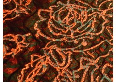 Coupon de tissu broché orange et vert
