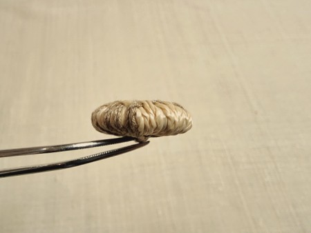 Bouton raphia et lin