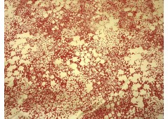 Tissu satin de coton et soie enduit